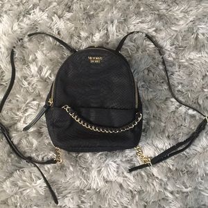 Mini VS backpack BRAND NEW!